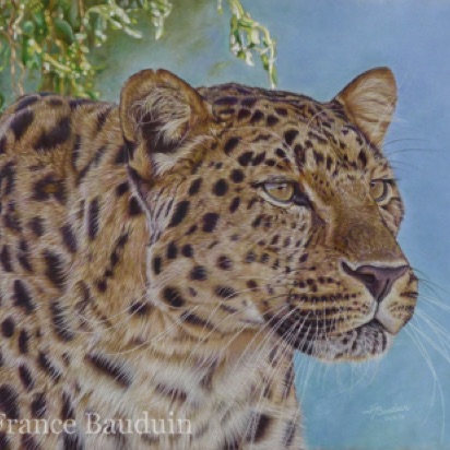 On The Look Out - 101 hours
Brown Pastelmat Board
17" x 27.5"
Ref: my own photo On The Look Out - 101 hours
Brown Pastelmat Board
17" x 27.5"
Ref: my own photo